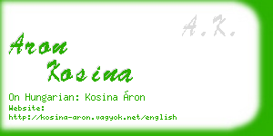 aron kosina business card